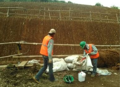 project hamaki (1)